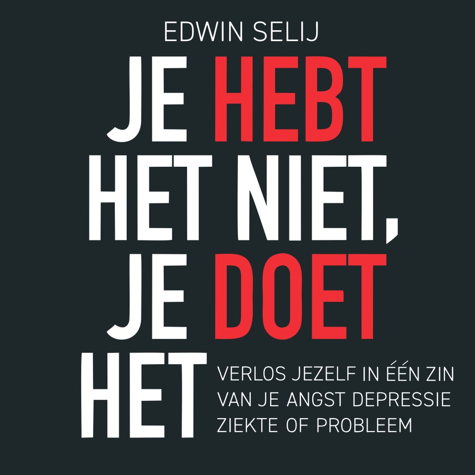 Omslagfoto van Je hebt het niet, je doet het